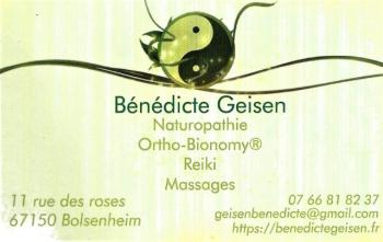 GEISEN