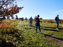 2017 Marche du coeur