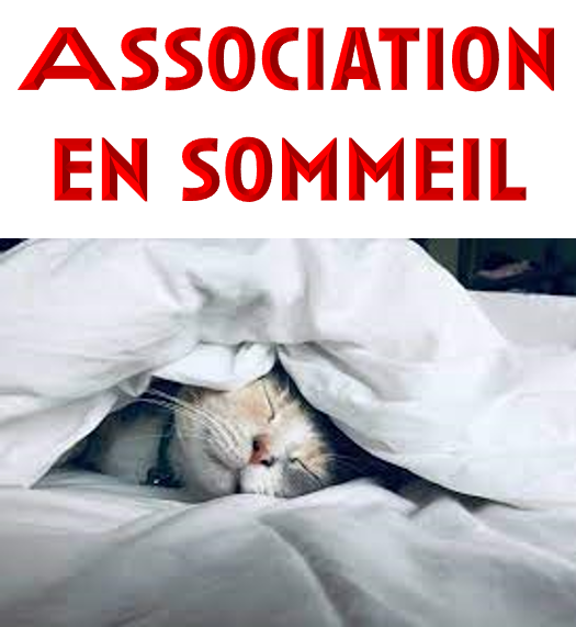 Association en sommeil